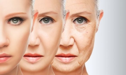 Ritardare l'invecchiamento cutaneo