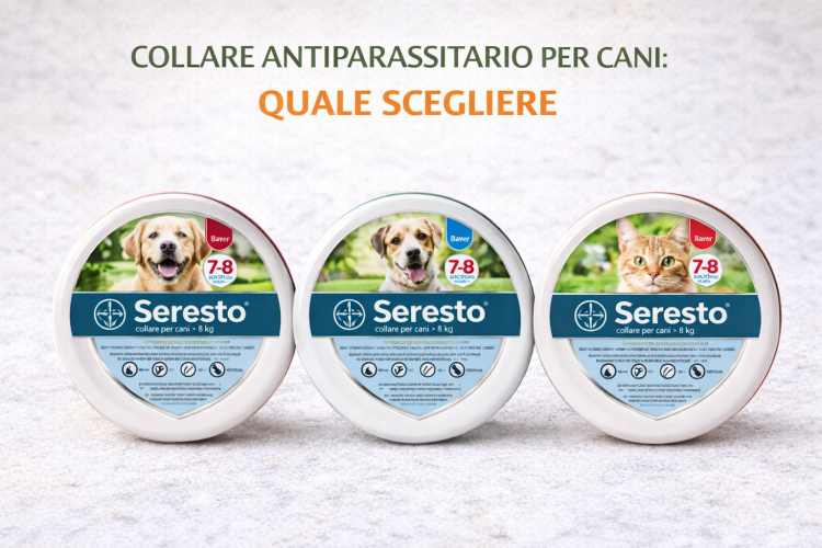 Collare antiparassitario per cani: come funziona, tipologie e consigli utili