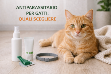 Antiparassitario per gatti: guida completa alla scelta sicura ed efficace