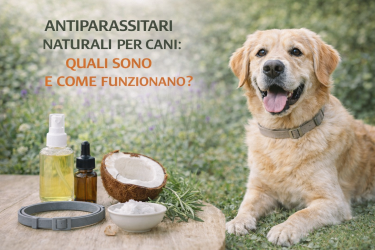 Antiparassitari naturali per cani: cosa sono, come funzionano e quando usarli