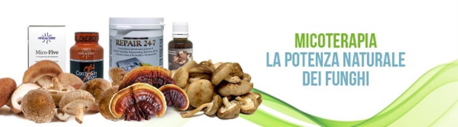 I funghi medicinali