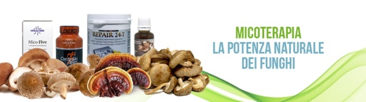 I funghi medicinali