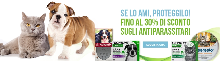 Antiparassitari per cani: collare, pipette, spray o pasticche?