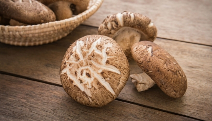 Shiitake: Lentinus edodes