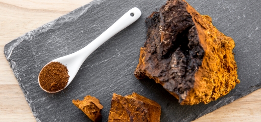 Chaga