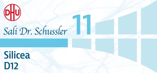 Sale di Schussler n.11 Silicea