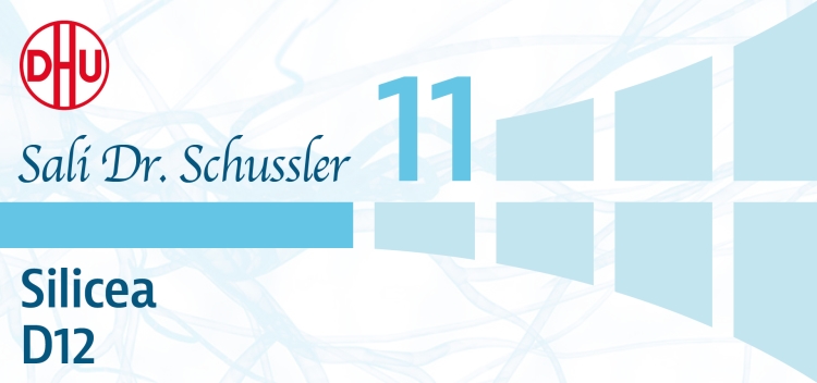 Sale di Schussler n.11 Silicea