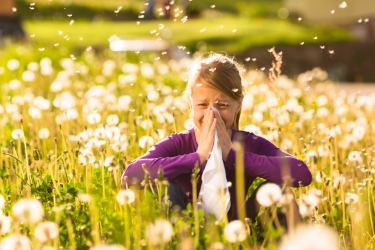 Allergie stagionali