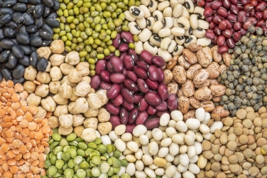Alimenti speciali