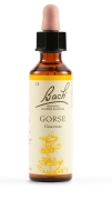 GORSE BACH ORIGINAL 20ML
