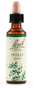 HOLLY BACH ORIGINAL 20ML
