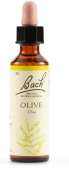 OLIVE BACH ORIGINAL 20 ML