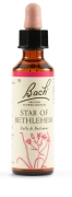 STAR OF BETHLEHEM BACH ORIGINAL 20ML