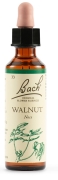 WALNUT BACH ORIGINAL 20ML